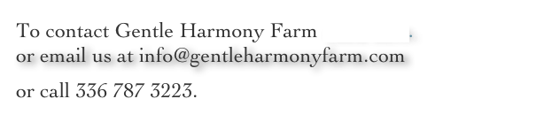 To contact Gentle Harmony Farm click here. or email us at info@gentleharmonyfarm.com
or call 336 787 3223.